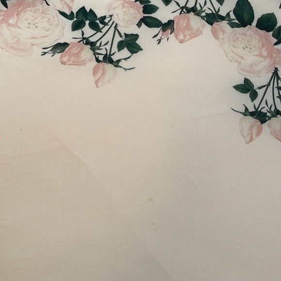 Anthropologie Erin Fetherston Sweetheart Roses Skirt Size 8 - Picture 7 of 11